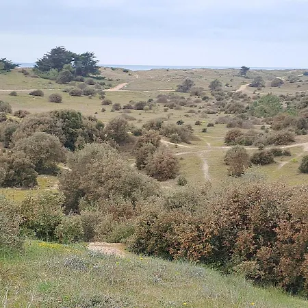 Dune And Sea View T2 شقة