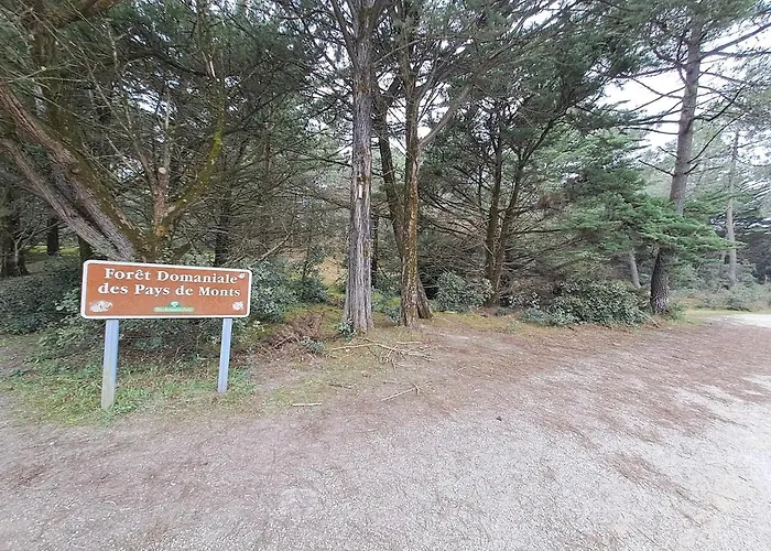 Dune And Sea View T2 * سا يْليرْ دو ري