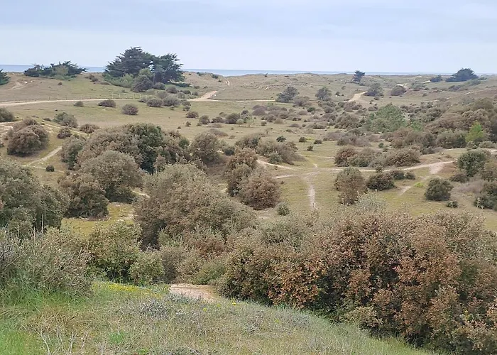 Dune And Sea View T2 Apartamento